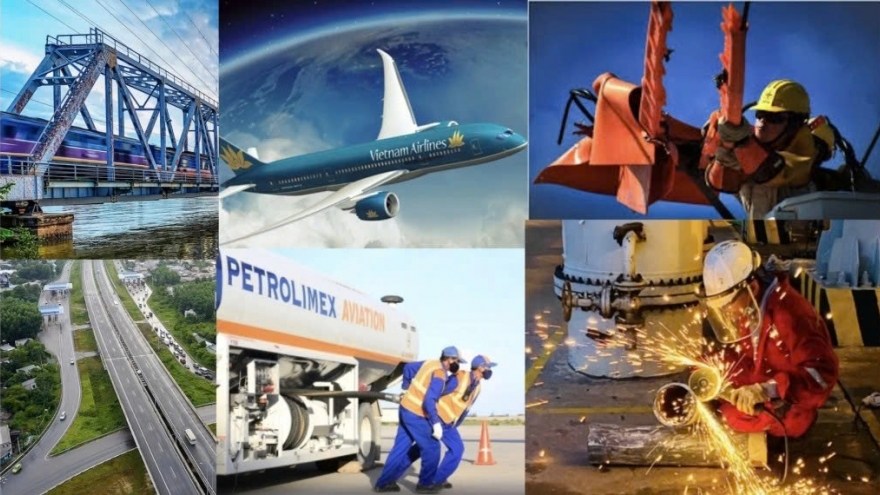 Government’s Action Programme to implement Resolution on state sector development